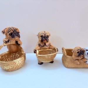Baskets Puppies